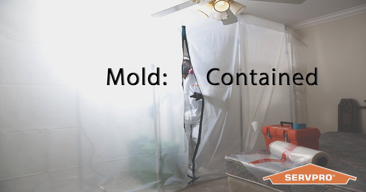 SERVPRO 15