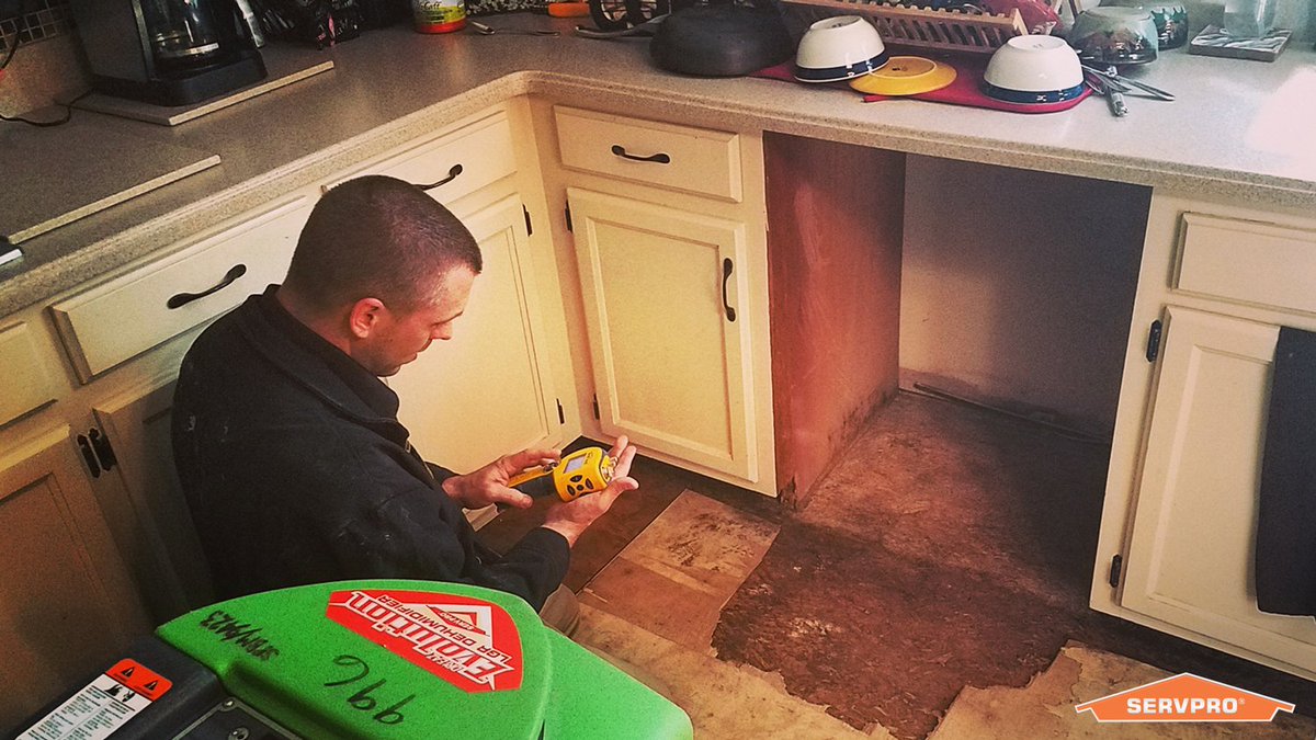 SERVPRO 16