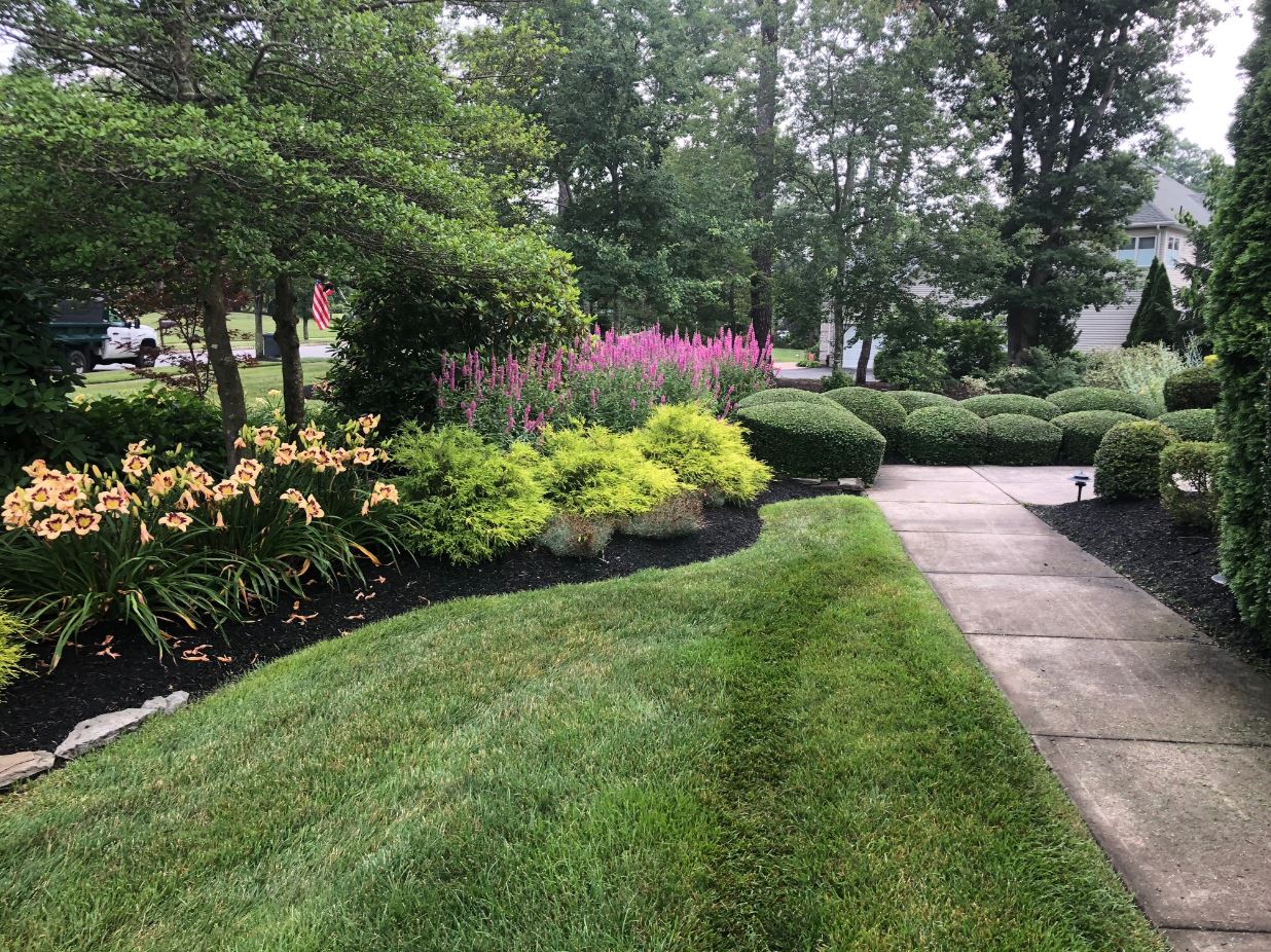 custom landscaping