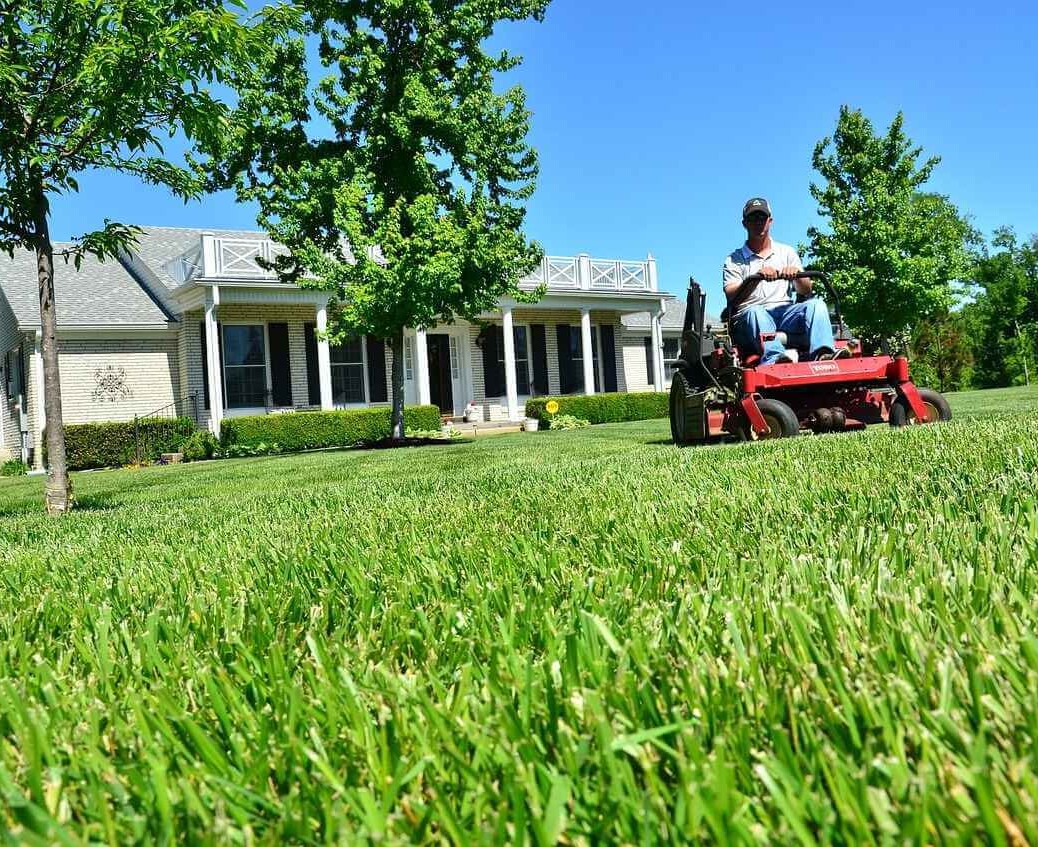 have your lawn mowed regularly to keep it at around 2 1/2 to 3 1/2 inches high throughout the grass growing season