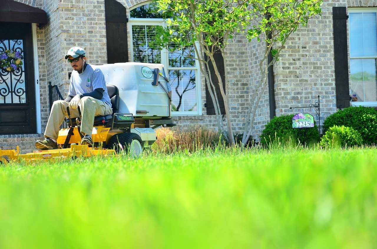 How to Find the Best Landscaper Near You