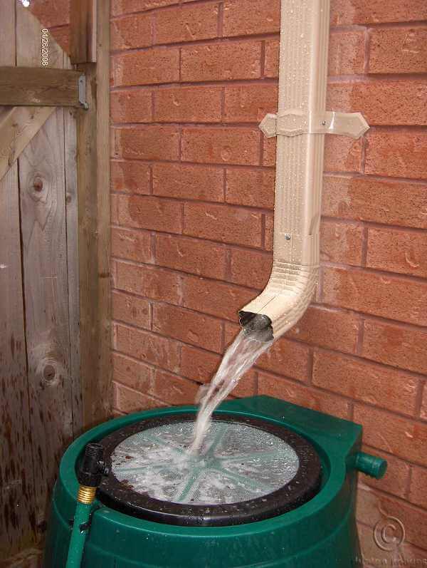 Water your garden for free by collecting rain water in a rain barrel connected to your downspout, use a gravity-fed drip irrigation line to water only the plants and not the weeds.