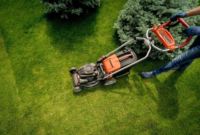 landscape design near me 768x517
