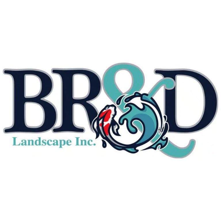 BRD Logo 768x768