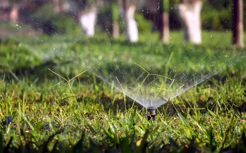 Test Your Lawn Sprinkler or Irrigation System