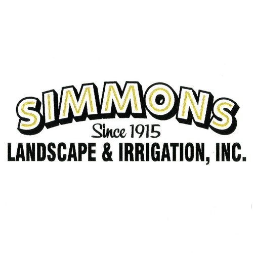 Simmons