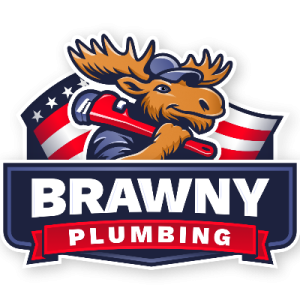 Brawny Plumbing