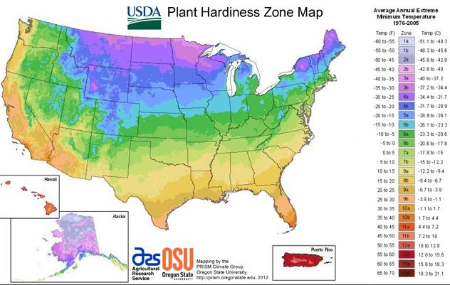 Use USDA Plant Hardiness Zone Map to determine which plants are most likely to thrive in your area. Photo credit: United States Department of Agriculture