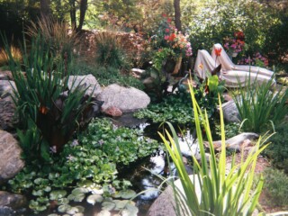 Pond Landscaping Denver
